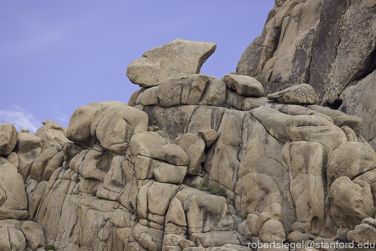 Joshua Tree National Park